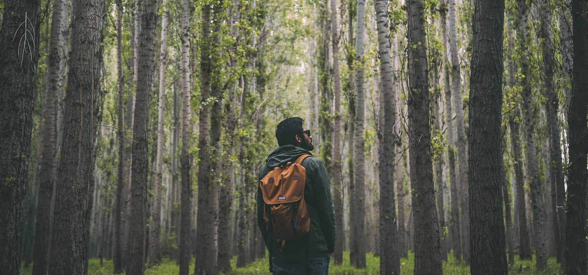 walking man in forest